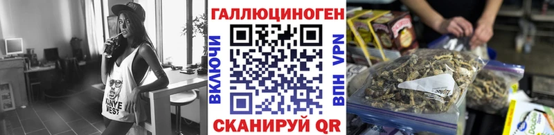 Псилоцибиновые грибы мицелий  Омск 