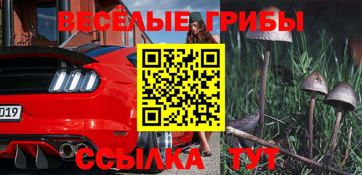 Псилоцибиновые грибы прущие грибы  Омск 