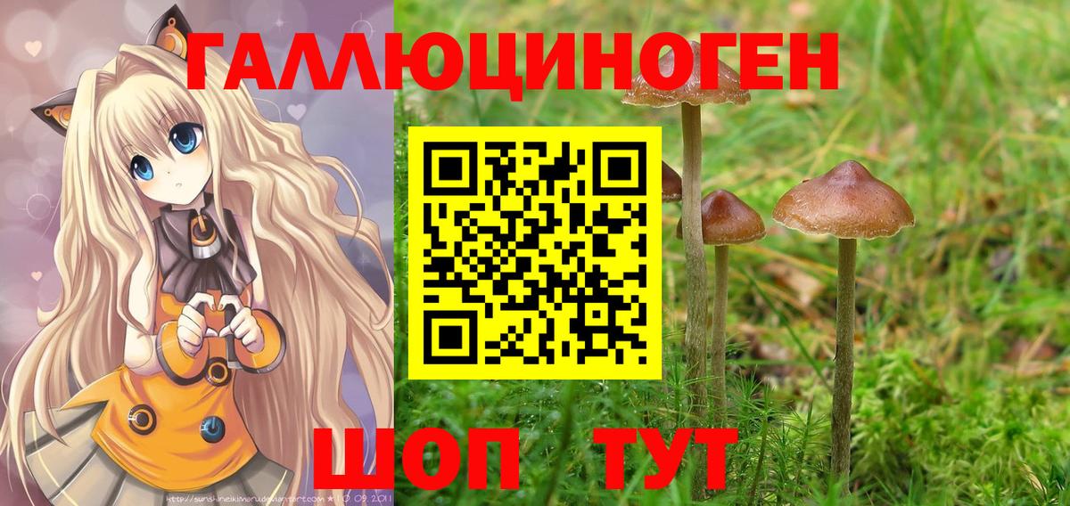 Псилоцибиновые грибы мицелий Омск