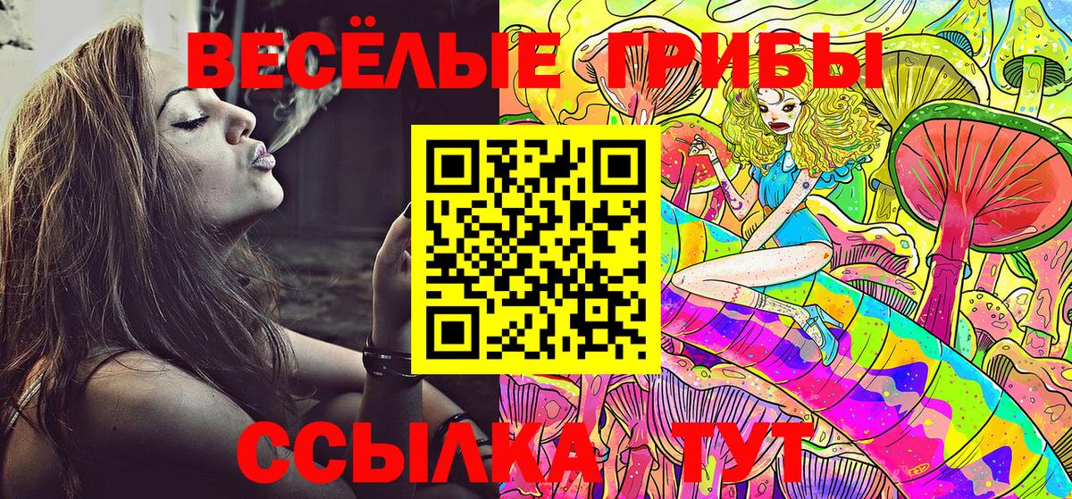 Галлюциногенные грибы Cubensis Омск