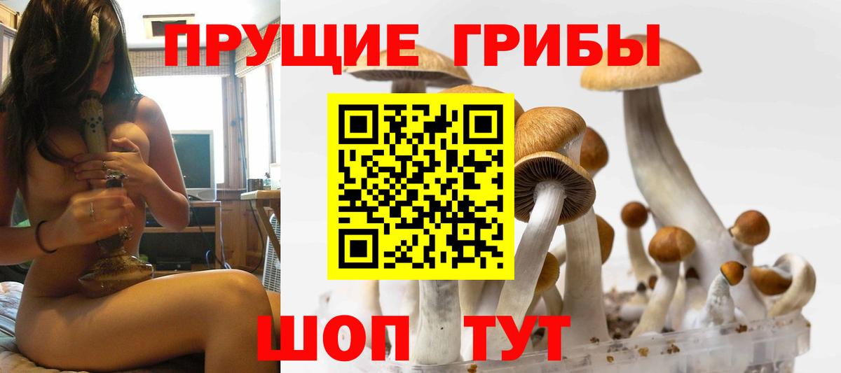 Псилоцибиновые грибы MAGIC MUSHROOMS  Псилоцибиновые грибы MAGIC MUSHROOMS  Вход с VPN  Омск 